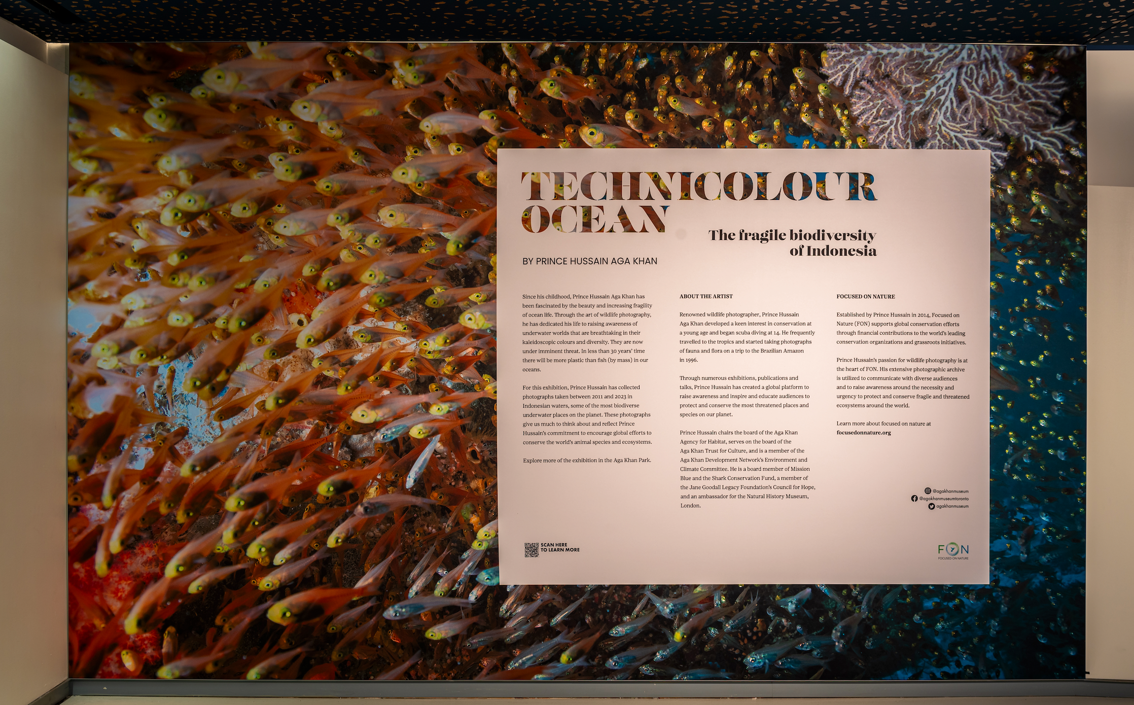Introduction panel that show a swarm fish and in front of it information about the 'Technicolour Ocean