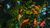 2019.08.27_Our Sustainable Future_Ezetta Anderson_HERO_01 (1)