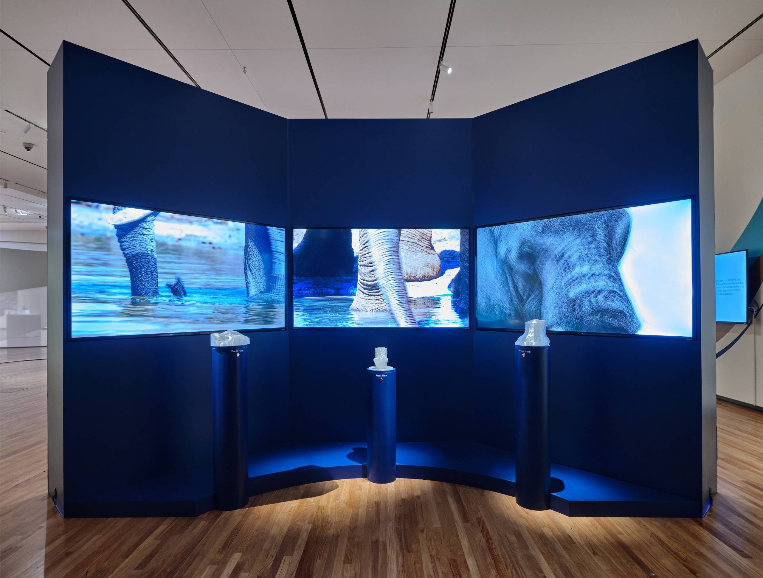 One side of an interactive installation consisting of a blue wall with three TV screens showing videoclips of elephants and in front of the screens there are three mounts with with items representing body parts of elephants and each mount has an button that plays an elephant sound