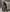 A_5341-scaled-aspect-ratio-1465-1975