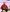 910b5fae-9cc7-4e8e-92a8-bb606fba1e01-aspect-ratio-826-810