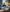 20250511_BATA_RnR-0639