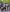 gye-nyame-band-aspect-ratio-847-720