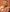 Durba1-aspect-ratio-1066-1131