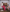 Screenshot-2025-09-19-at-12.57.17-PM-aspect-ratio-559-652