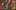 Screenshot 2025-09-25 at 12.47.46 PM